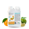 CITRUS Detergente Sgrassante 1 litro