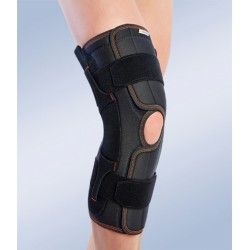 Knee Brace