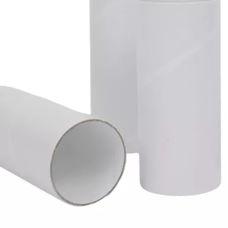 Embouts pour débitmètre PEAK FLOW Adulte - 100 Pièces