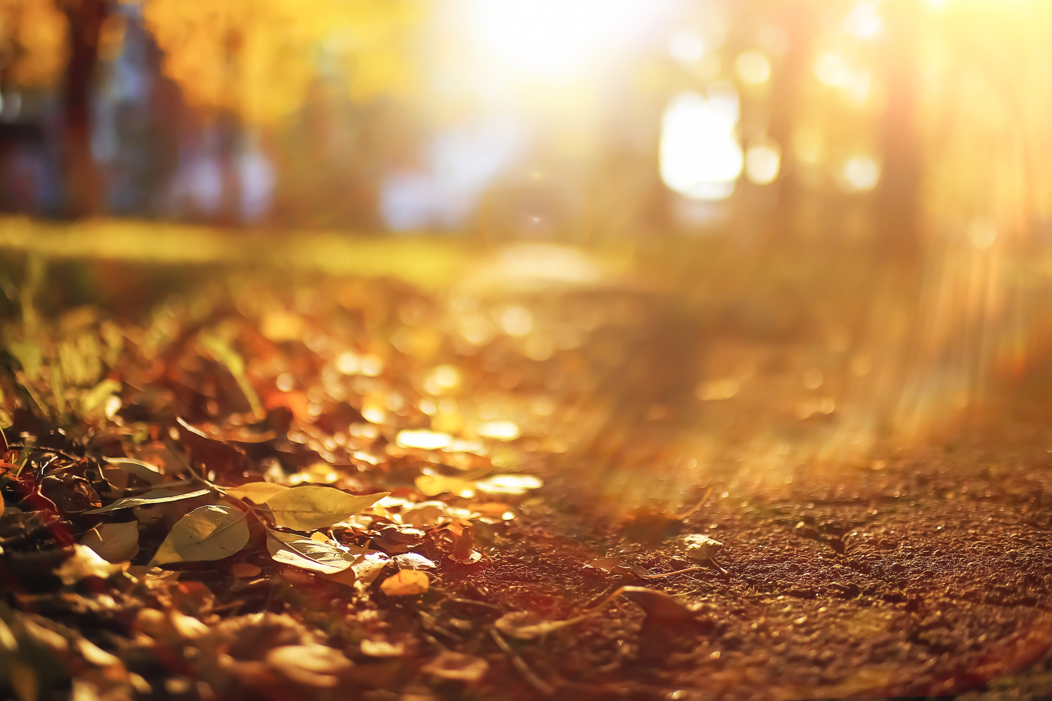 Técarthérapie YoutecarX copy Slide background